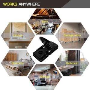 reuseable-mouse-catcher