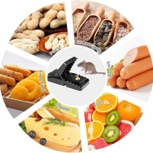 reuseable-mouse-catcher