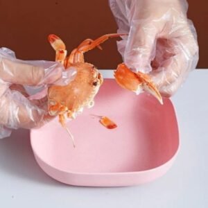 10pcs-multi-function-spit-bone-plate-set-household-food-grade-plastic-elliptical-plate-set